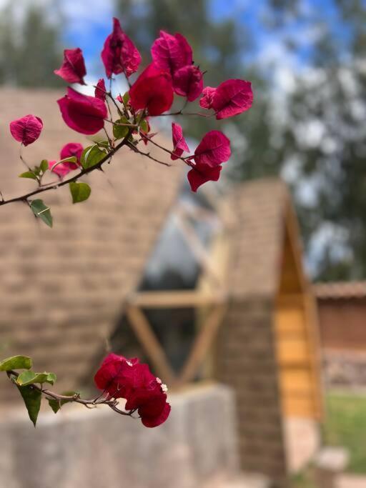 Domos Lujosos, Completos Y Privados En Cusco Villa Calca Exterior photo